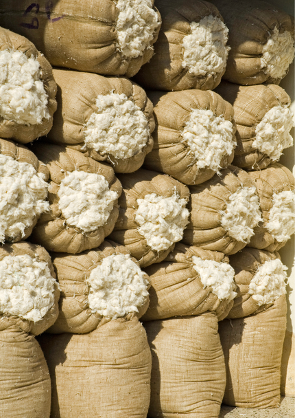 Wat maakt Egyptisch katoen bijzonder?